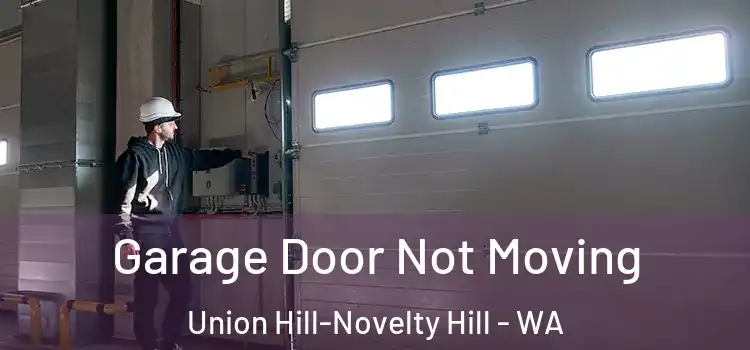  Garage Door Not Moving Union Hill-Novelty Hill - WA
