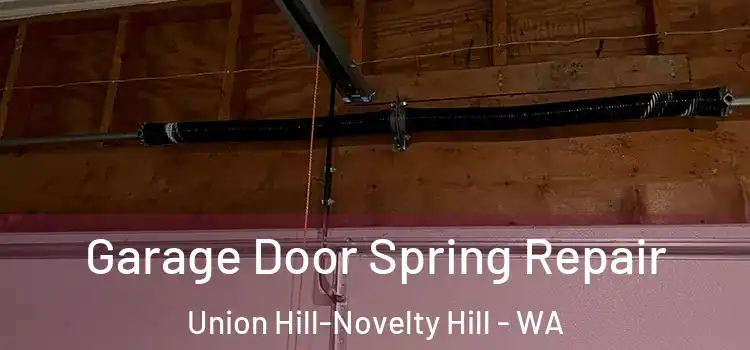  Garage Door Spring Repair Union Hill-Novelty Hill - WA
