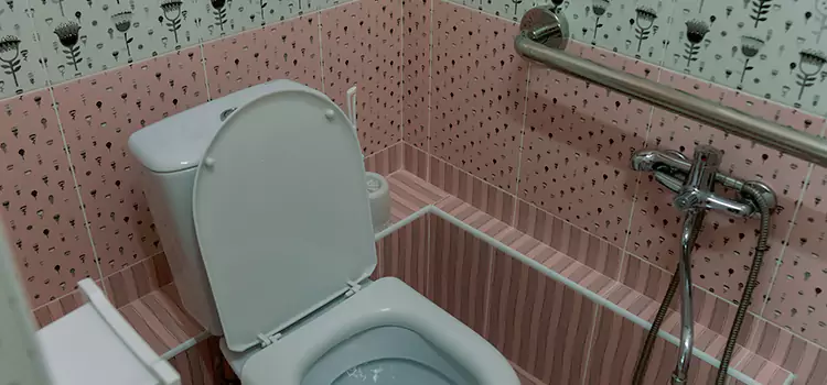 Meeting Diverse Needs With Accessible Restroom Solutions in Union Hill-Novelty Hill, WA