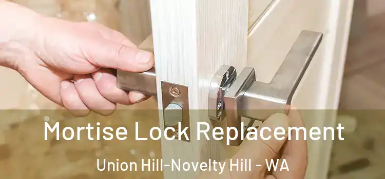  Mortise Lock Replacement Union Hill-Novelty Hill - WA