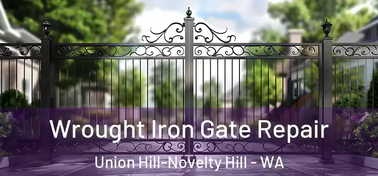 Wrought Iron Gate Repair Union Hill-Novelty Hill - WA
